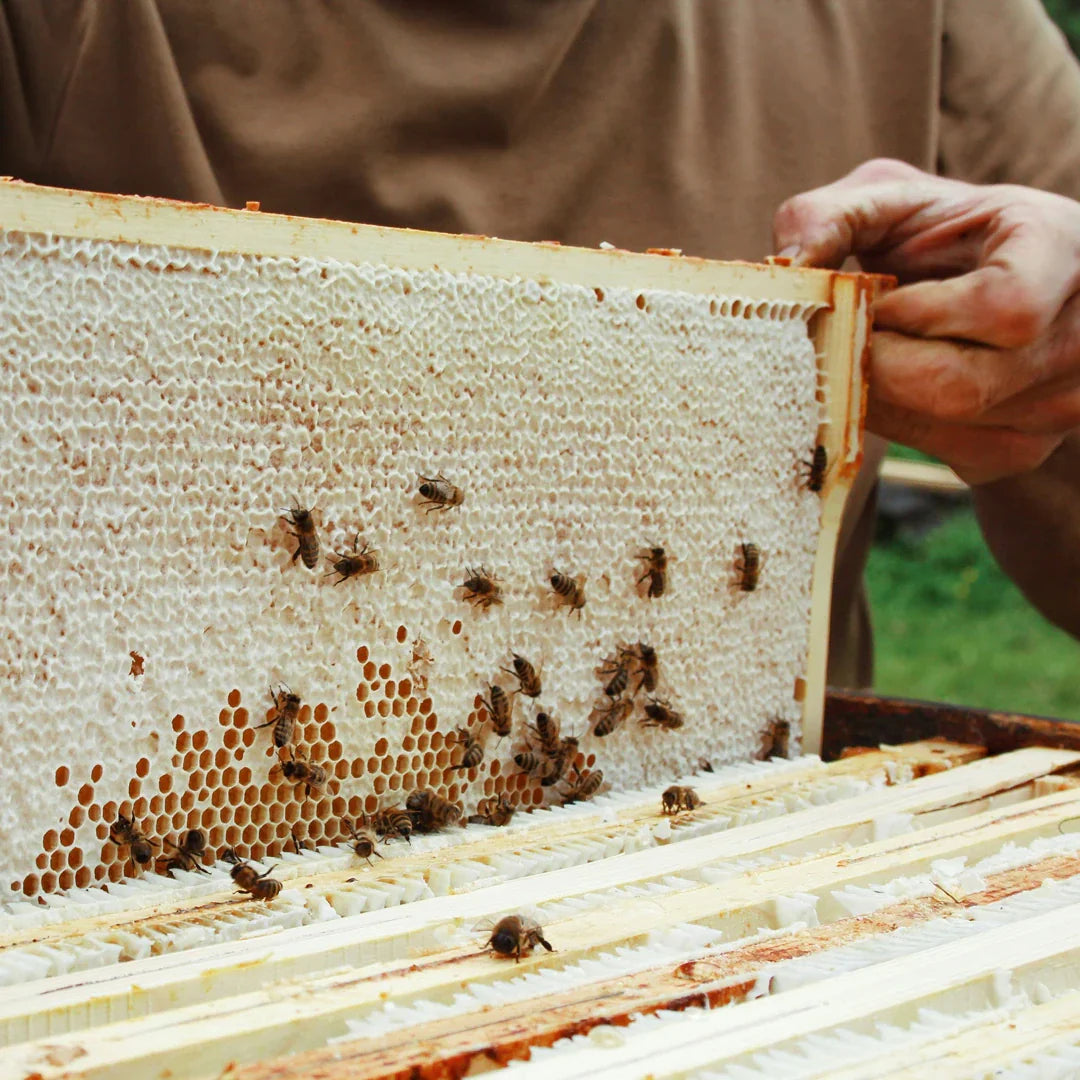 The Beekeepers Behind Our Honey